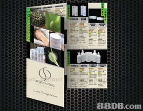 螢火蟲制作公司 多媒體設(shè)計(jì)服務(wù)引領(lǐng)創(chuàng)意未來